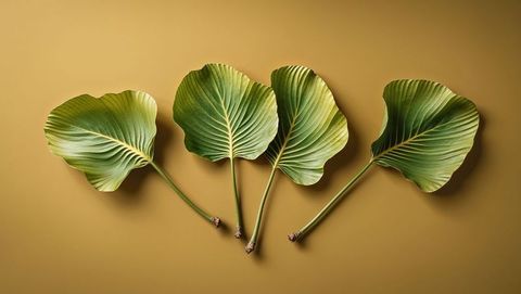 Green Leaves with Pronounced Veins on Ochre Background