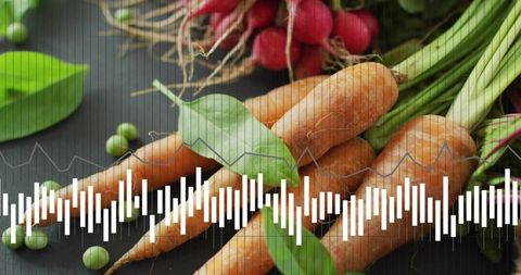 Organic Vegetables with Sound Waveform Overlay