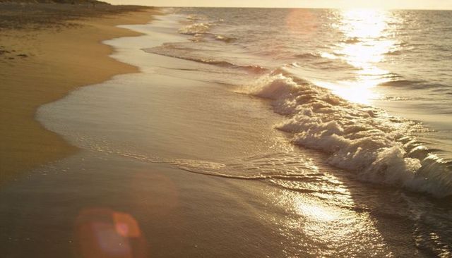 Golden sunrise waves lapping wet sand, shimmering shoreline reflecting warm sunlight