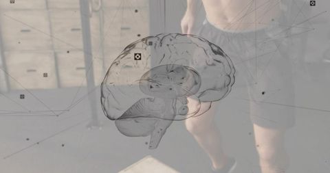 Translucent 3d brain overlay highlighting neural networks over athletic plyo training
