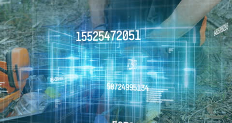 Digital Data Overlay on Worker in Forest Scene