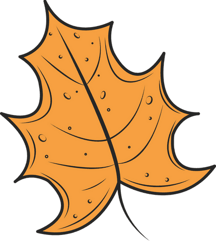 Transparent autumn leaf illustration with bold outline