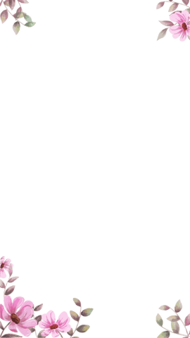 Watercolor Floral Frame with Pink Blooms on Transparent Background - Download Free Stock Videos Pikwizard.com