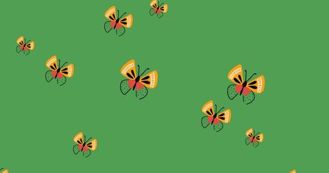Colorful Butterflies on Vibrant Green Background