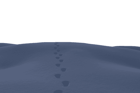 footprints in pristine snow on transparent background - Download Free Stock Videos Pikwizard.com