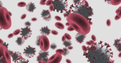 Coronavirus and Red Blood Cells in Vain - Download Free Stock Images Pikwizard.com