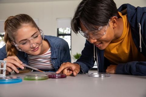 Diverse students conducting petri dish experiment collaborating in school science lab