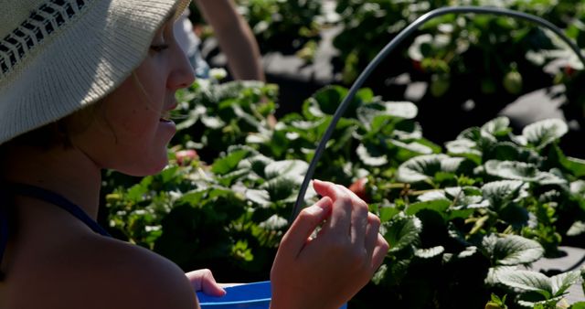 Child enjoying a sunny day picking strawberries at a farm. Ideal for visuals related to outdoor activities, healthy living, farm experiences, agricultural education, and family leisure activities.