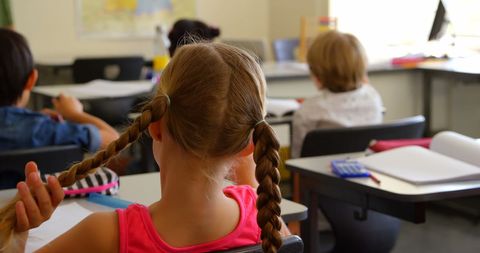 Rear View of Schoolgirl With Braided Hair in Classroom