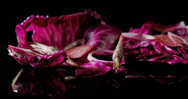 Vibrant purple petals on a dark backdrop highlight floral beauty through stark contrast. - Download Free Stock Photos Pikwizard.com