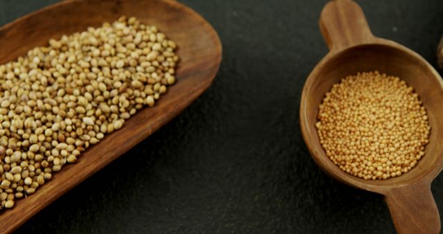 Wooden spoons hold uncooked grains of mustard seed on a dark surface, with copy space. Mustard seeds are commonly used as a spice in various cuisines and have culinary and medicinal applications.
