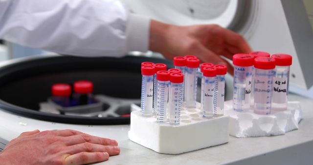 A Caucasian lab technician is handling test tubes filled with samples for analysis, with copy space. Their work is essential in scientific research and medical diagnostics to ensure accurate results.