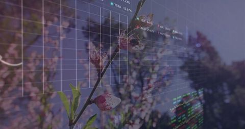 Springtime cherry blossom overlay with dynamic stock chart