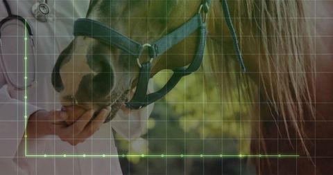 Veterinarian offering hand-feeding horse in blue halter with stethoscope and health graph
