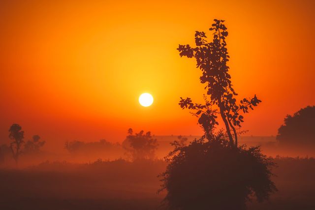 Mesmerizing sunrise casting warm orange hues over serene countryside landscape with silhouetted trees and a calm misty atmosphere. Ideal for use in nature blogs, landscape photography exhibitions, travel promotions, and relaxation-focused publications or advertisements.