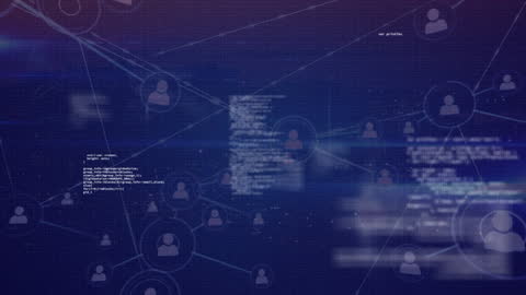 Connections and Data Processing in Digital Network Interface