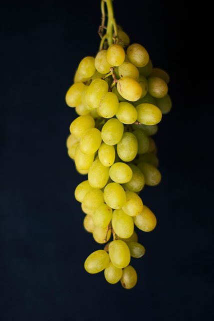 Fresh green grapes hanging against a black background. Ideal for promoting healthy eating, organic products, food-related content, grocery stores, or illustrating recipes that require grapes. The high contrast highlights the freshness and quality of the grapes, making it appealing for marketing materials and culinary blogs.