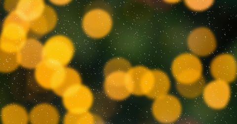 Cozy Christmas Lights with Soft Falling Snow, Holiday Atmosphere - Download Free Stock Images Pikwizard.com
