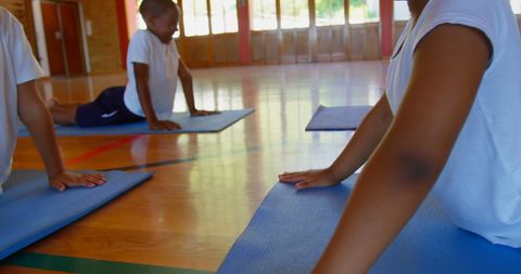 Schoolchildren Practicing Yoga in Gymnasium Setting