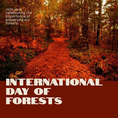 celebrating international day of forests with autumn pathway - Download Free Stock Templates Pikwizard.com