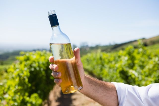 Vintner holding a wine bottle in a lush vineyard. Ideal for use in articles or advertisements related to wine production, winemaking processes, viticulture, and the wine industry. Suitable for promoting wineries, wine tours, and agricultural practices.