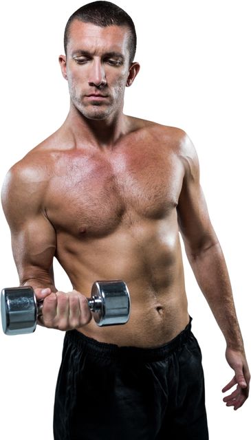 Transparent Confident Athlete Lifting Dumbbell - Download Free Stock Videos Pikwizard.com