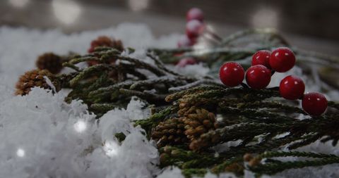 Festive Winter Branches with Berries and Snowfall - Download Free Stock Images Pikwizard.com