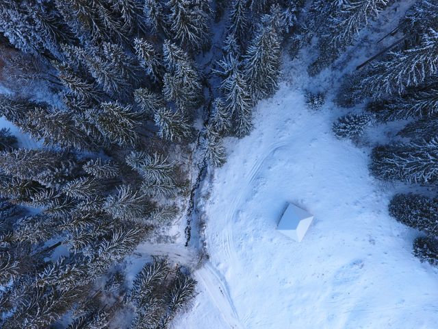 Aerial View of Snow-Covered Forest and Cabin - Download Free Stock Photos Pikwizard.com