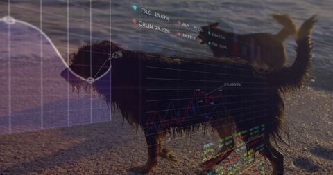 Digitally Generated Data Overlay Across Dogs Strolling Beach