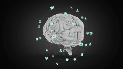 3D Brain Visualization with Digital Health Connections