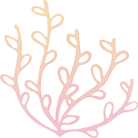 Pastel Plant Shapes Transparent Illustration Vector Icon - Download Free Stock Videos Pikwizard.com