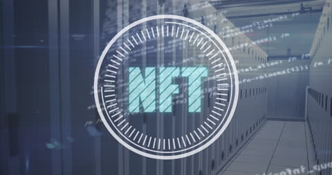 NFT and Blockchain Data Integration Over Server Network