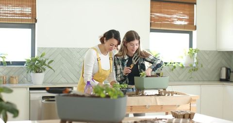 Two friends potting indoor herb garden on sunlit kitchen island, urban gardening lifestyle