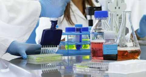Scientists Conducting Research with 96-Well Microplate - Download Free Stock Images Pikwizard.com