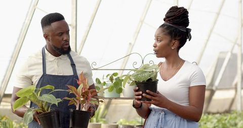 Coworkers Discussing Plants in Greenhouse Environment