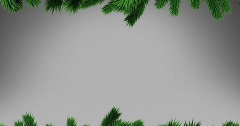 Christmas pine branches with copy space on gray background