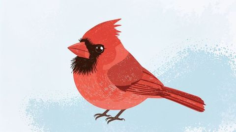 Bright Red Northern Cardinal Illustration on Pastel Background