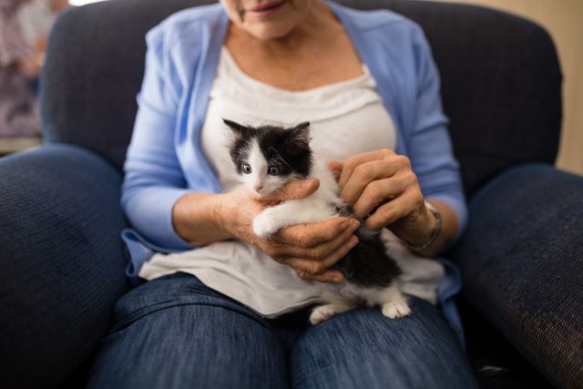 Midsection of senior woman stroking kitten while sitting on armchair at retirement home