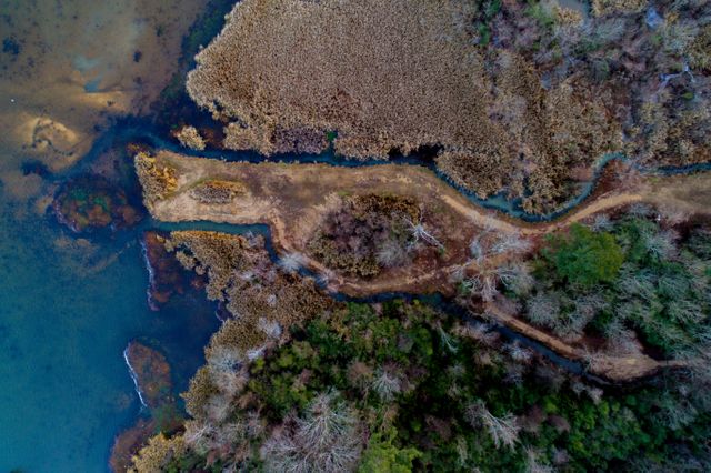The image captures a serene wetland area from a drone's perspective, showcasing lush vegetation, reeds, and calm waters. Ideal for use in environmental conservation projects, nature-themed websites, travel blogs, and educational materials about ecosystems.