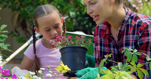 Mother and Daughter Gardening Together, Planting Flowers - Download Free Stock Images Pikwizard.com