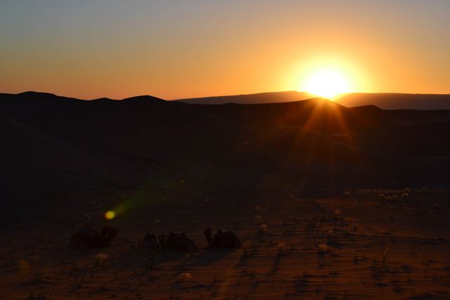 Sunset Over Desert Dunes with Camels Resting - Download Free Stock Photos Pikwizard.com