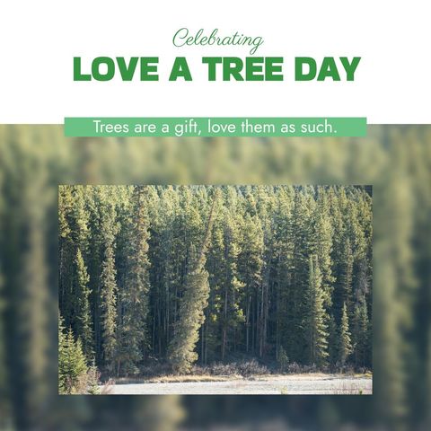 celebrating love a tree day with lush forest scenery - Download Free Stock Templates Pikwizard.com