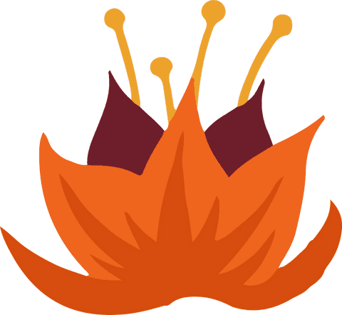 Vibrant abstract flower with orange petals and transparent background