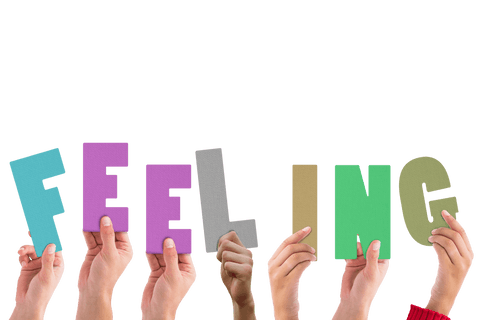 Hands Holding Feeling Text on Transparent Background - Download Free Stock Videos Pikwizard.com