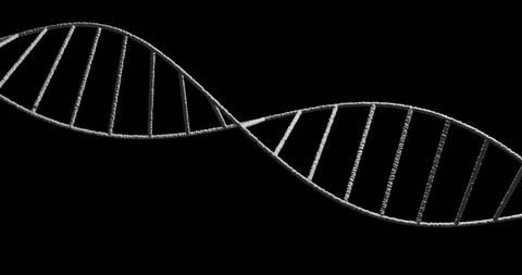 DNA Helix on Black Background Representing Genetic Science