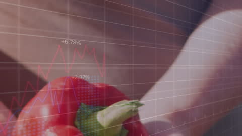 Organic Farming and Stock Market Correlation Visualization