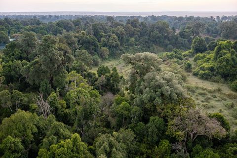 Aerial panorama showing dense green forest canopy and grassy clearing at sunrise