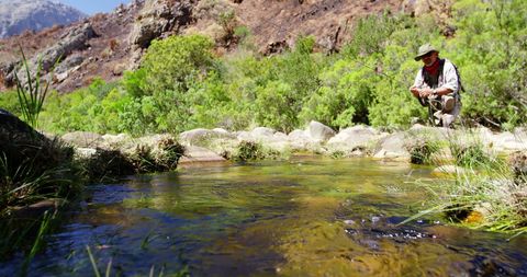 Fly Fisherman Fishes in Beautiful Mountain River