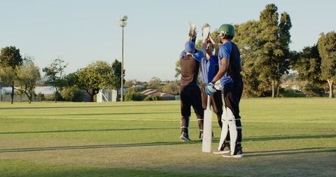 Cricket team celebrating wicket on sunlit field with batsman in helmet and batting pads