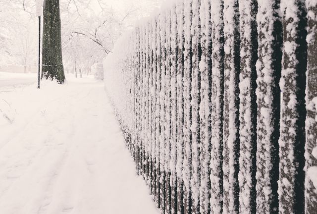 Snow Covered Fence Along Path in Wintery Landscape - Download Free Stock Photos Pikwizard.com